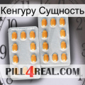 Кенгуру Сущность cialis4